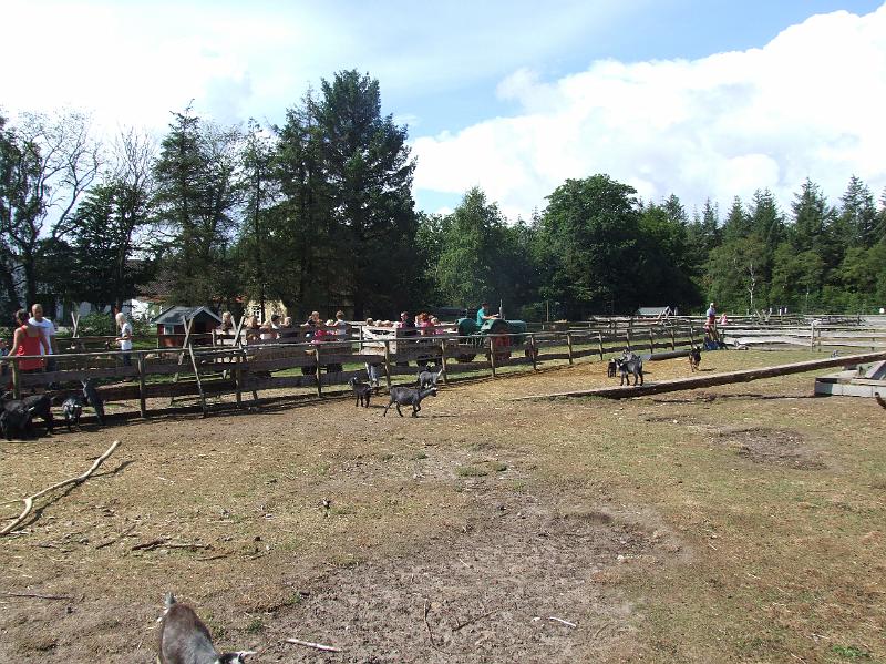 Sofia i  FarmFun 011.jpg